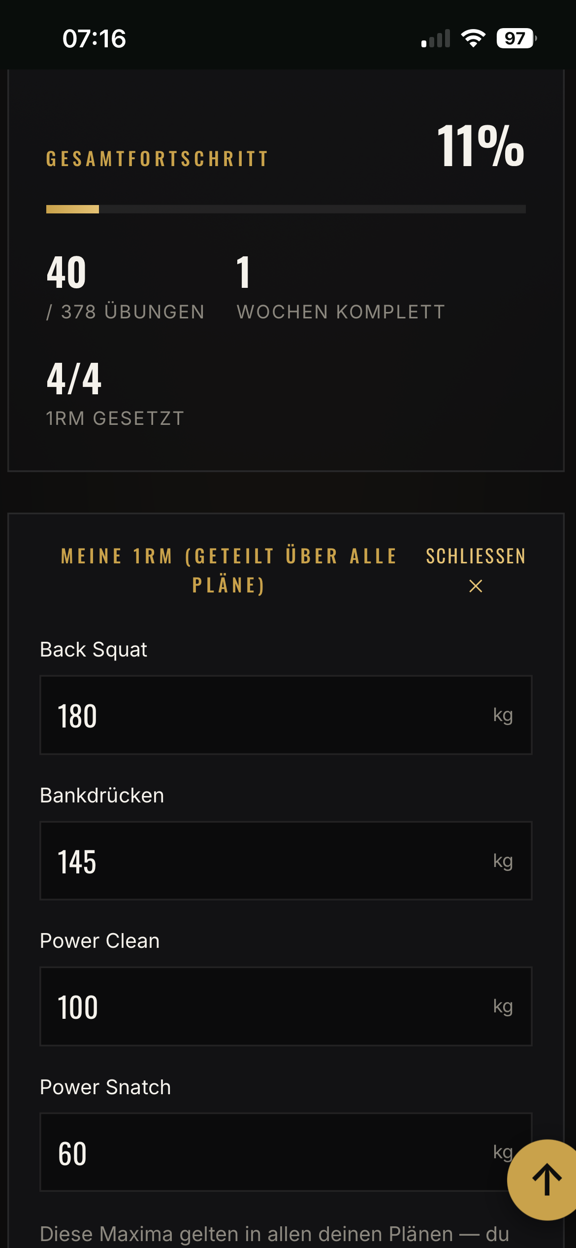 Fortschrittsuebersicht und deine Maxima, geteilt ueber alle Plaene